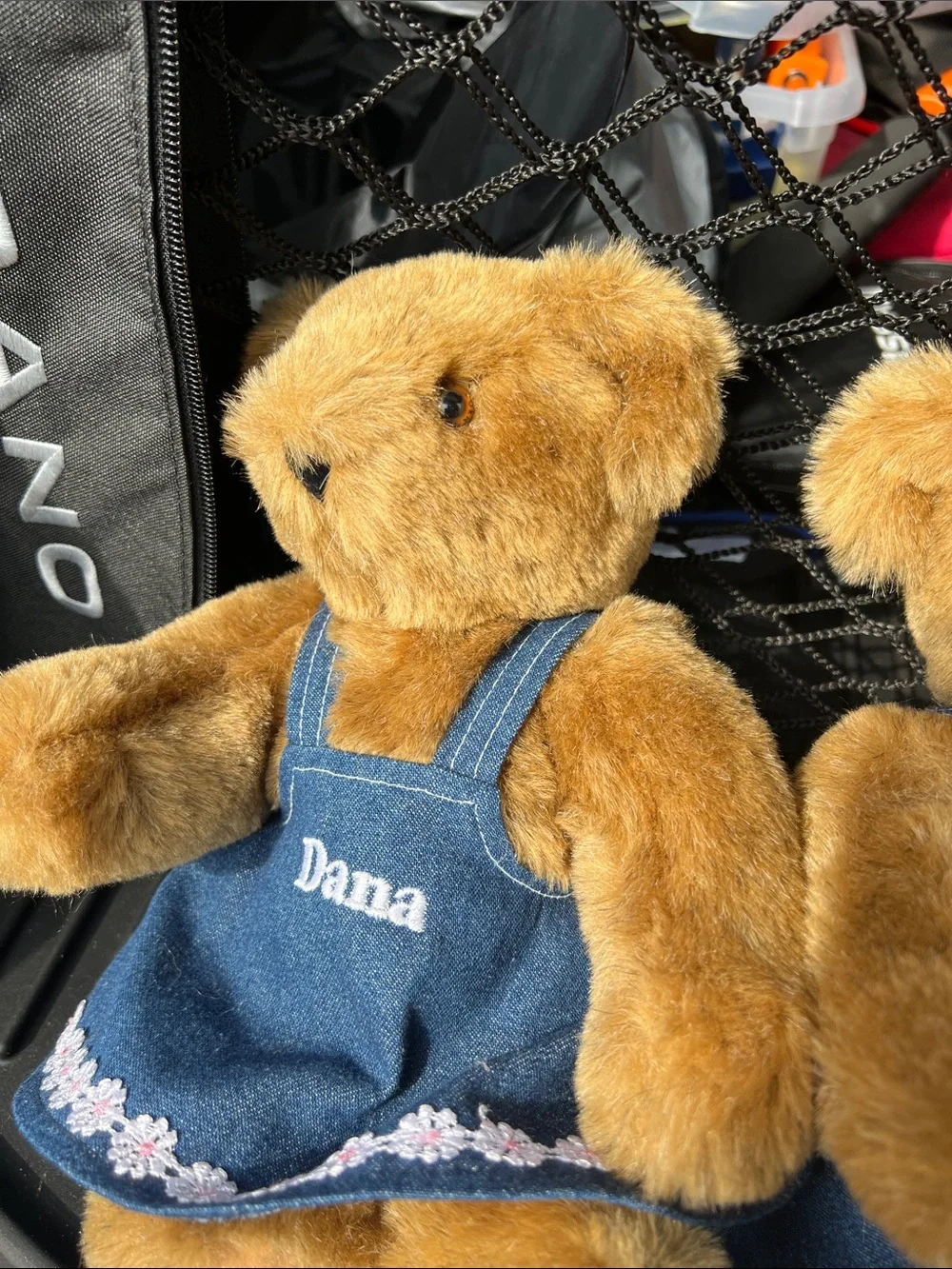 Personalized Brown Plush Teddy Bear Collection in Blue Outfits
